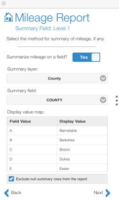 Exclude null summary rows from the report